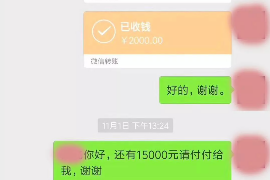 驻马店如何避免债务纠纷？专业追讨公司教您应对之策